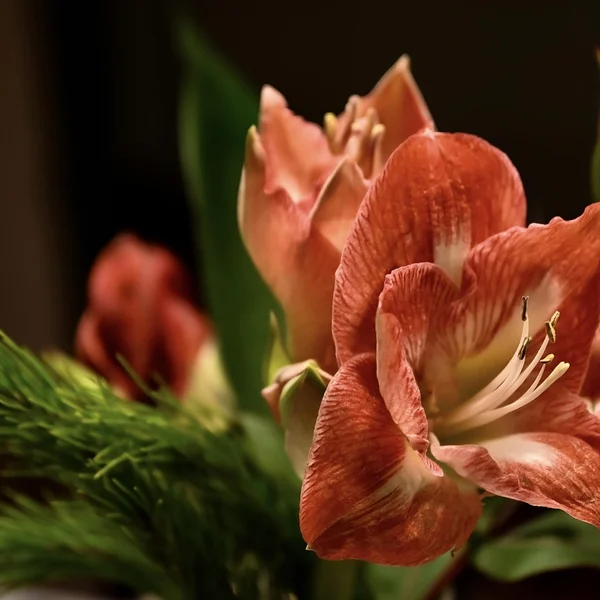 问鼎娱乐百家乐游戏